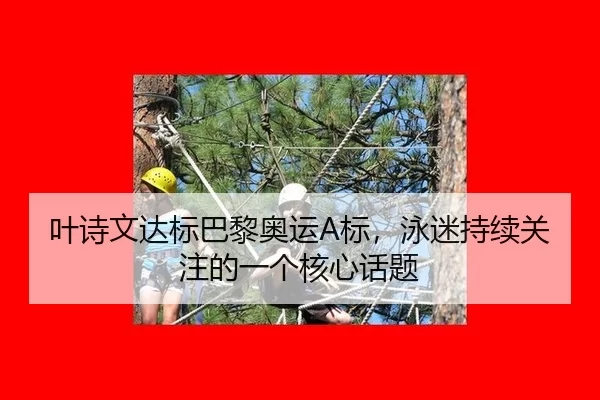 叶诗文达标巴黎奥运A标，泳迷持续关注的一个核心话题